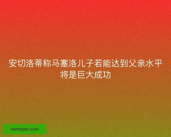 安切洛蒂称马塞洛儿子若能达到父亲水平将是巨大成功 安切洛蒂称马塞洛儿子若能达到父亲水平将是巨大成功