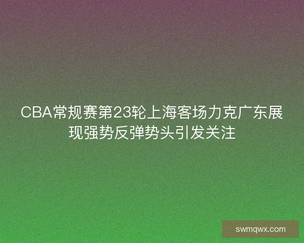 CBA常规赛第23轮上海客场力克广东展现强势反弹势头引发关注